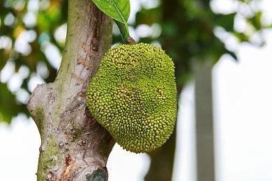 《VHS: Recovered Tapes》登陆Steam 沉浸式恐怖探险